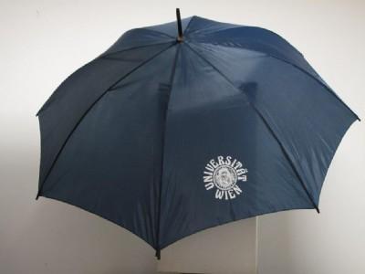 Regenschirm